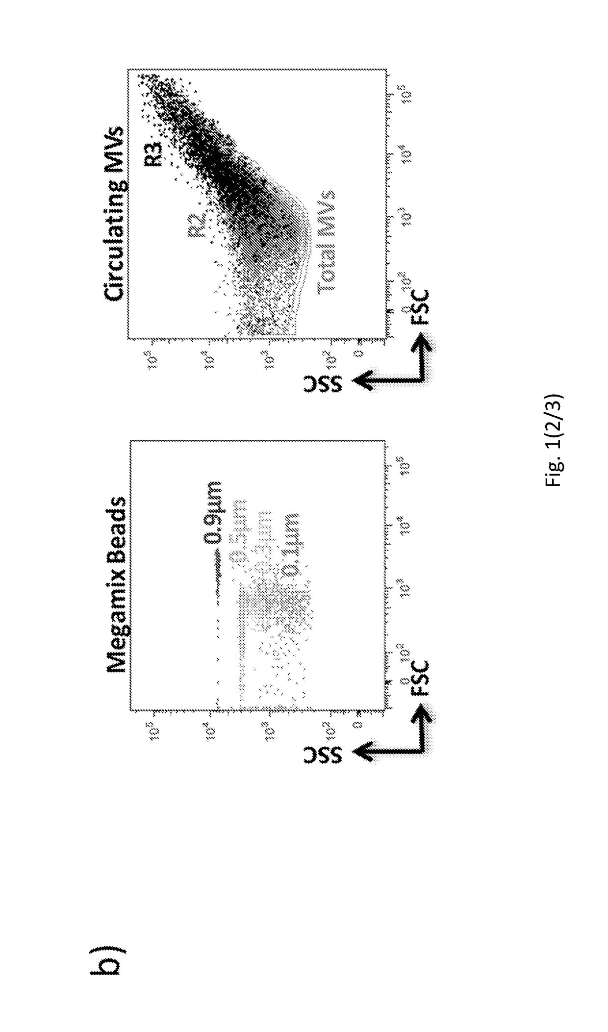 Method for characterization of cell specific microvesicles