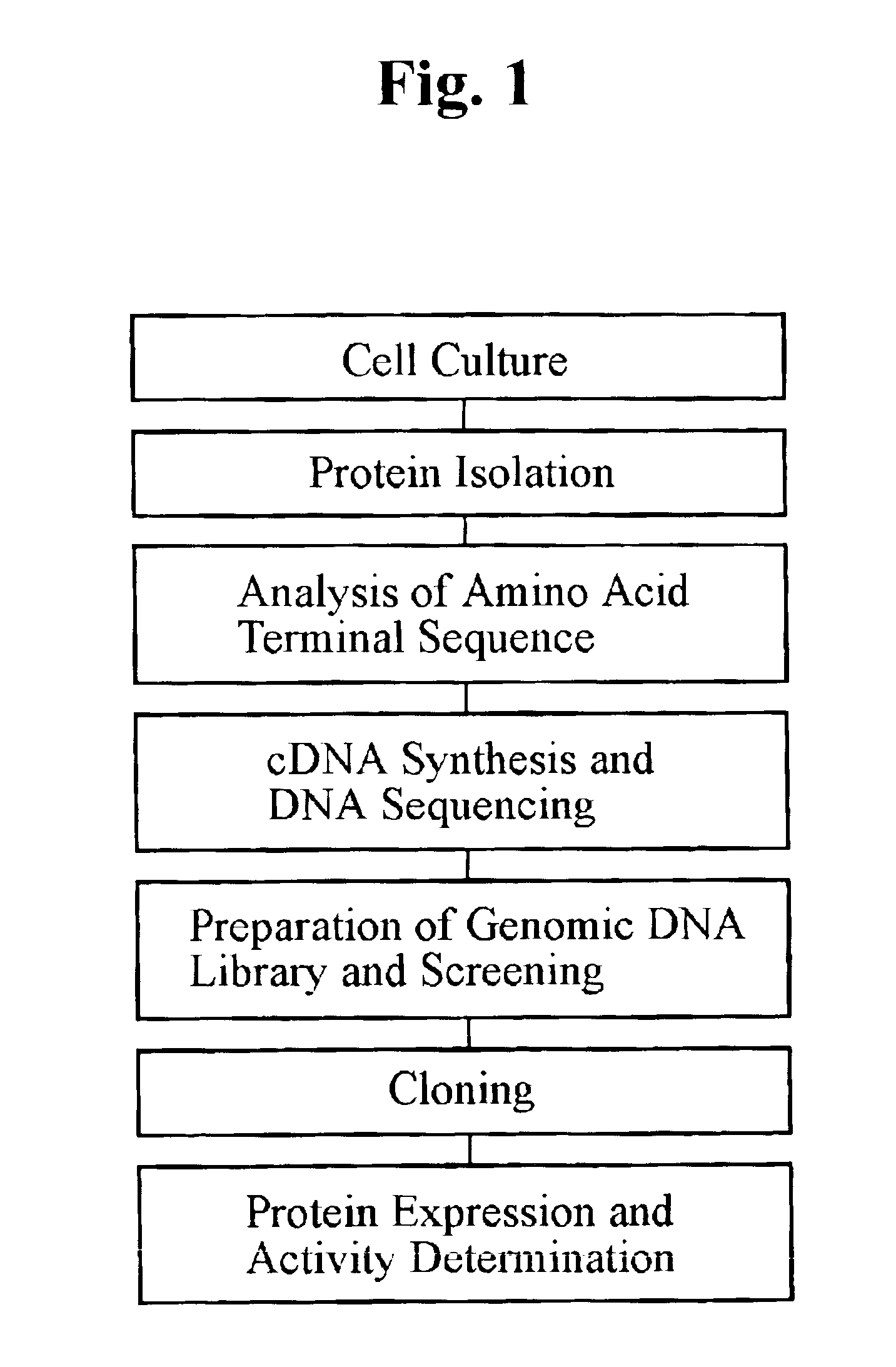 Gene coding for quinone oxidoreductase of kluyveromyces marxianus and protein expressed therefrom