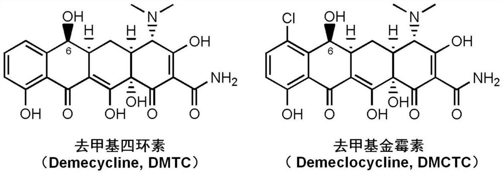 Genetic engineering strain for producing demethylated aureomycin and demethylated tetracycline and construction method