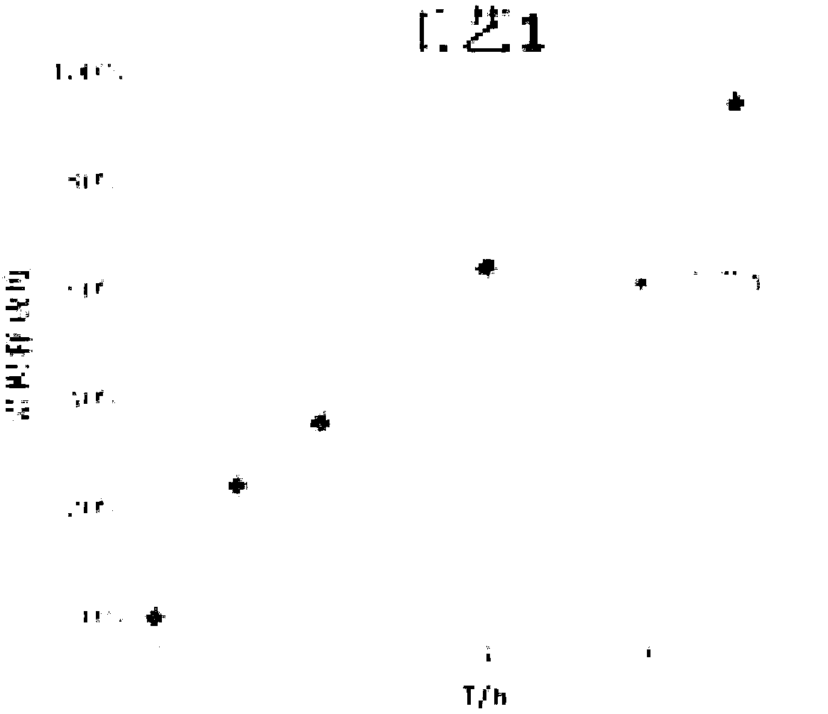 Ibuprofen slow release solid composition and preparation method thereof