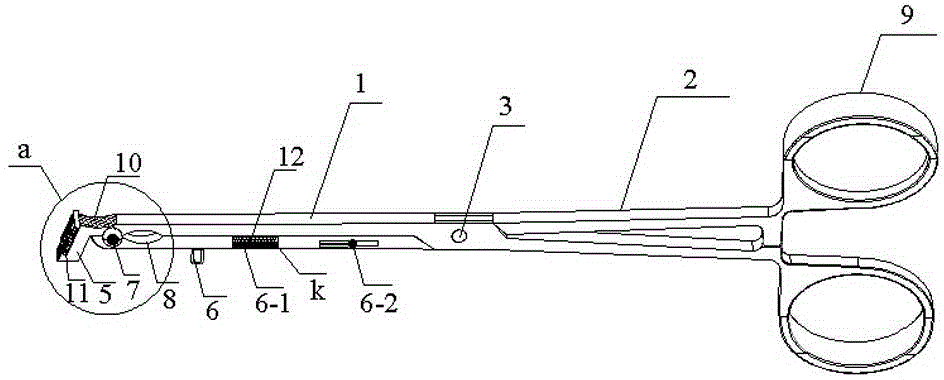 Molar-band forceps