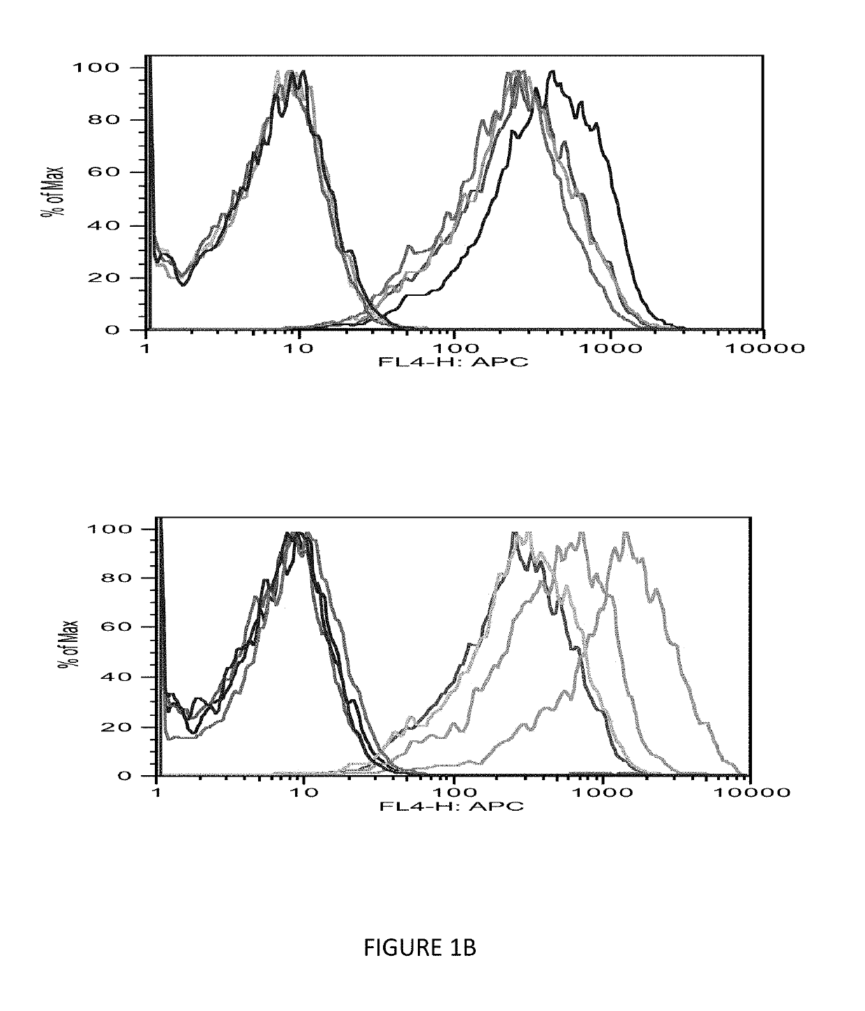 Monoclonal antigen-binding proteins to intracellular oncogene products