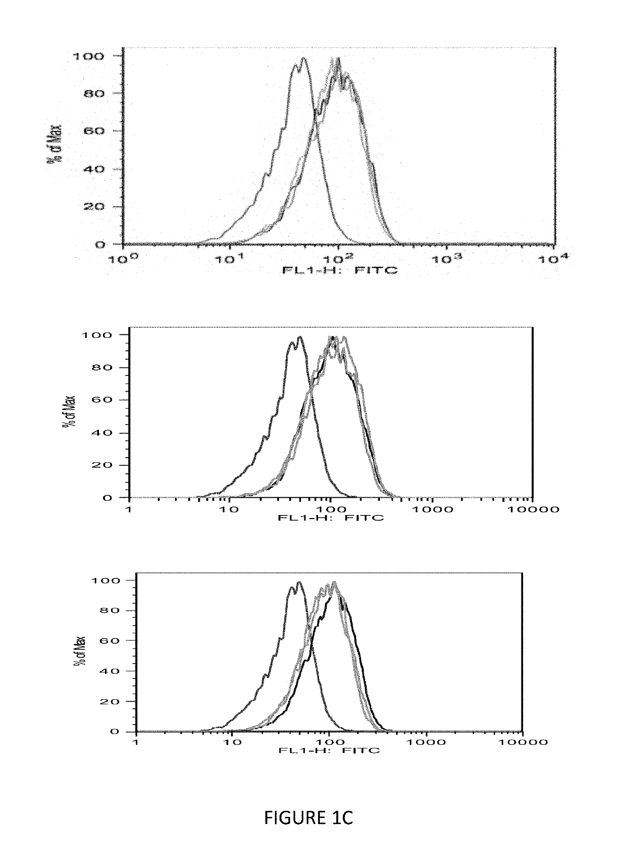 Monoclonal antigen-binding proteins to intracellular oncogene products