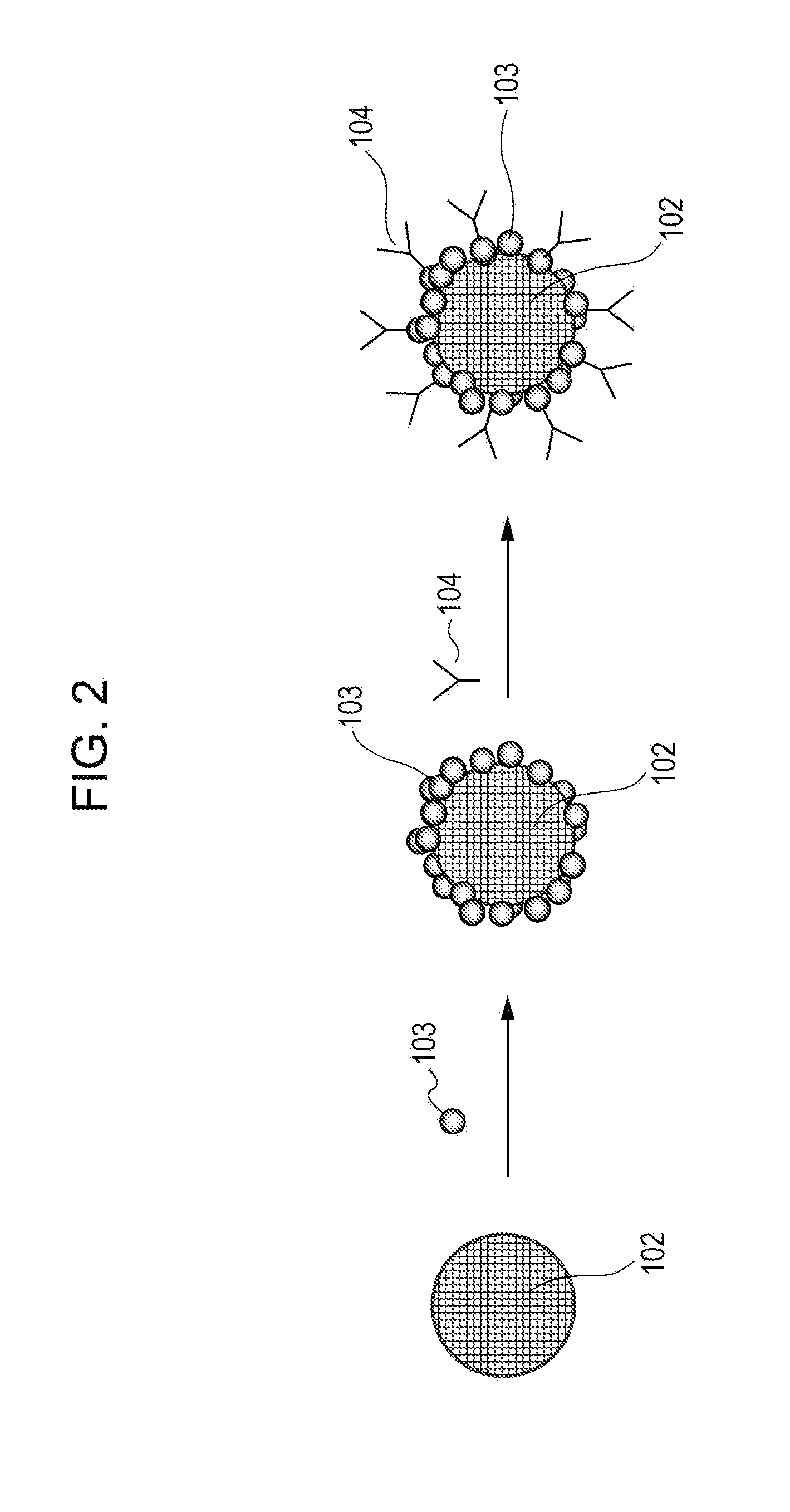 Composite particle, contrast agent for photoacoustic imaging, and photoacoustic imaging method