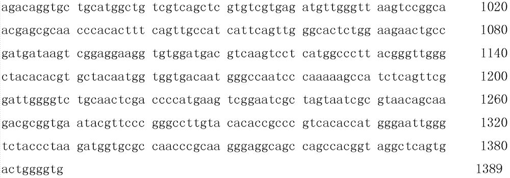 Rhodobacter capsulatus and application thereof