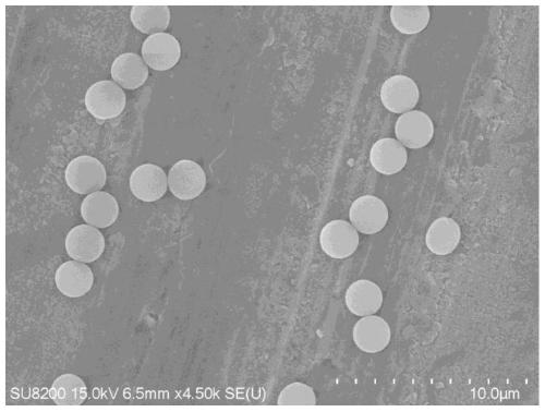 Micron-sized spherical silicon nitride and preparation method thereof