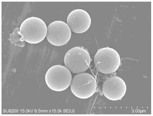 Micron-sized spherical silicon nitride and preparation method thereof