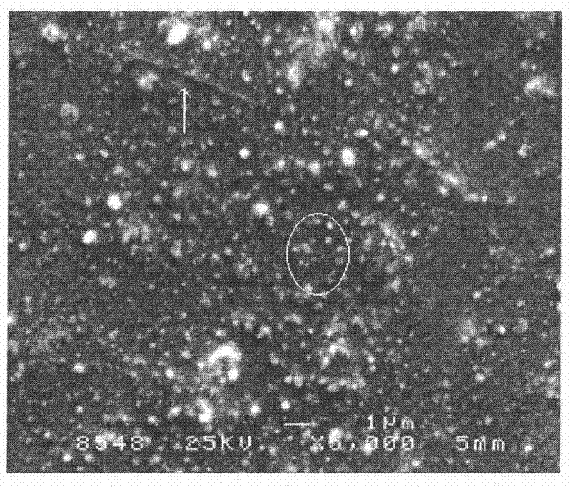 Dental machinable diatomite full ceramic restoration material and preparation method thereof