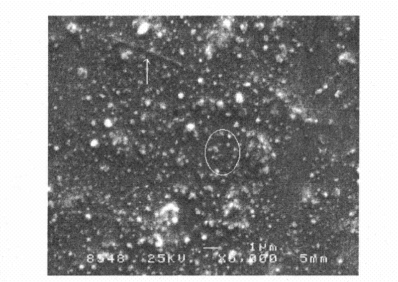 Dental machinable diatomite full ceramic restoration material and preparation method thereof