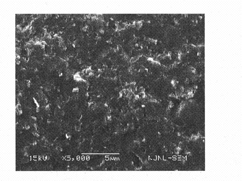 Dental machinable diatomite full ceramic restoration material and preparation method thereof