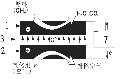 Gas hydrate mined by adopting low-temperature solid oxide fuel cell method and device thereof