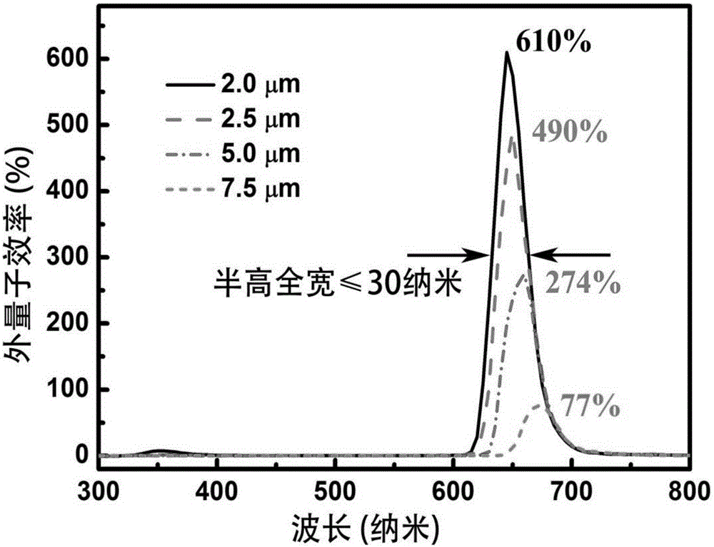Photomultiplier organic light detector with spectral selectivity and preparation method of photomultiplier organic light detector
