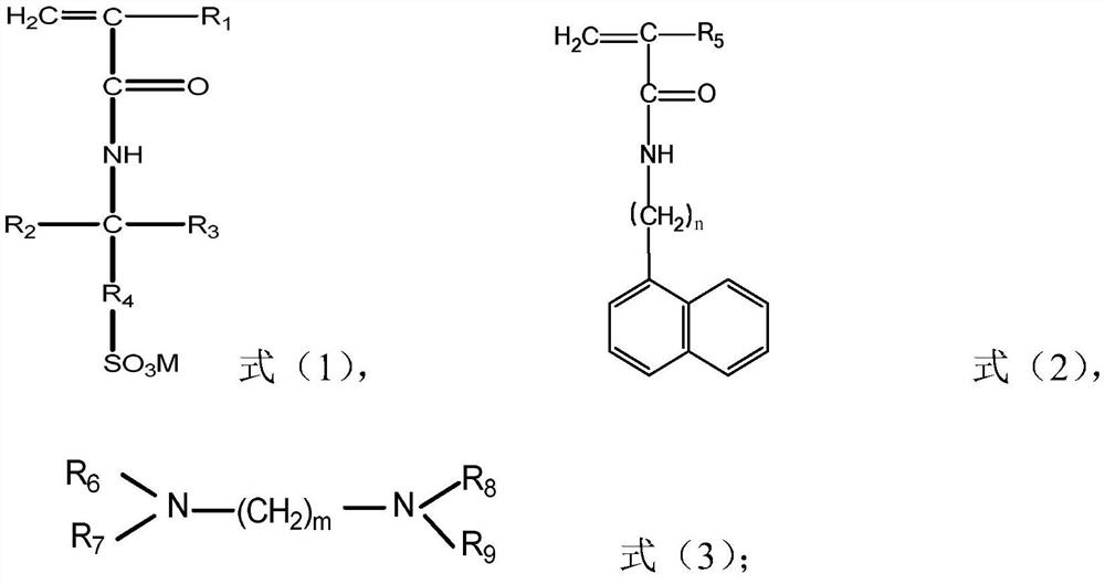 Acrylamide copolymer and its preparation method and application