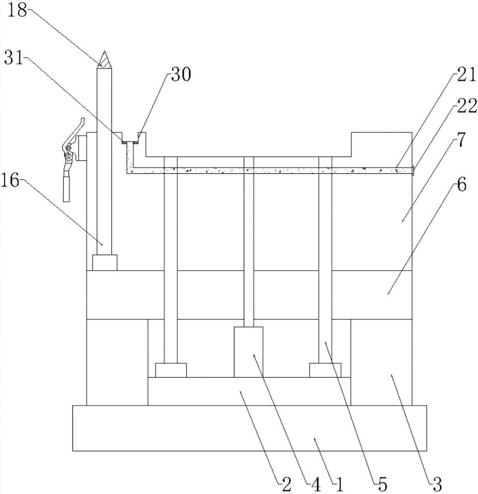 Tunica conjunctiva lower injection mold used for teaching