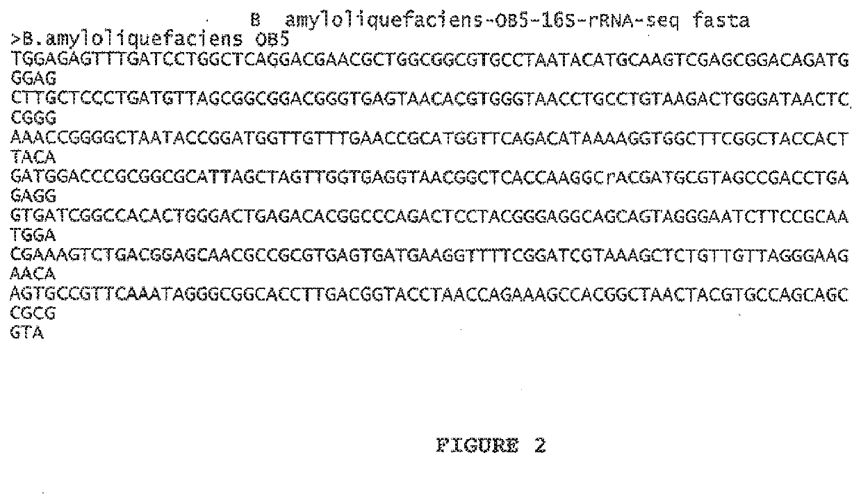 Strains of bacillus for inhibiting foodborne pathogens