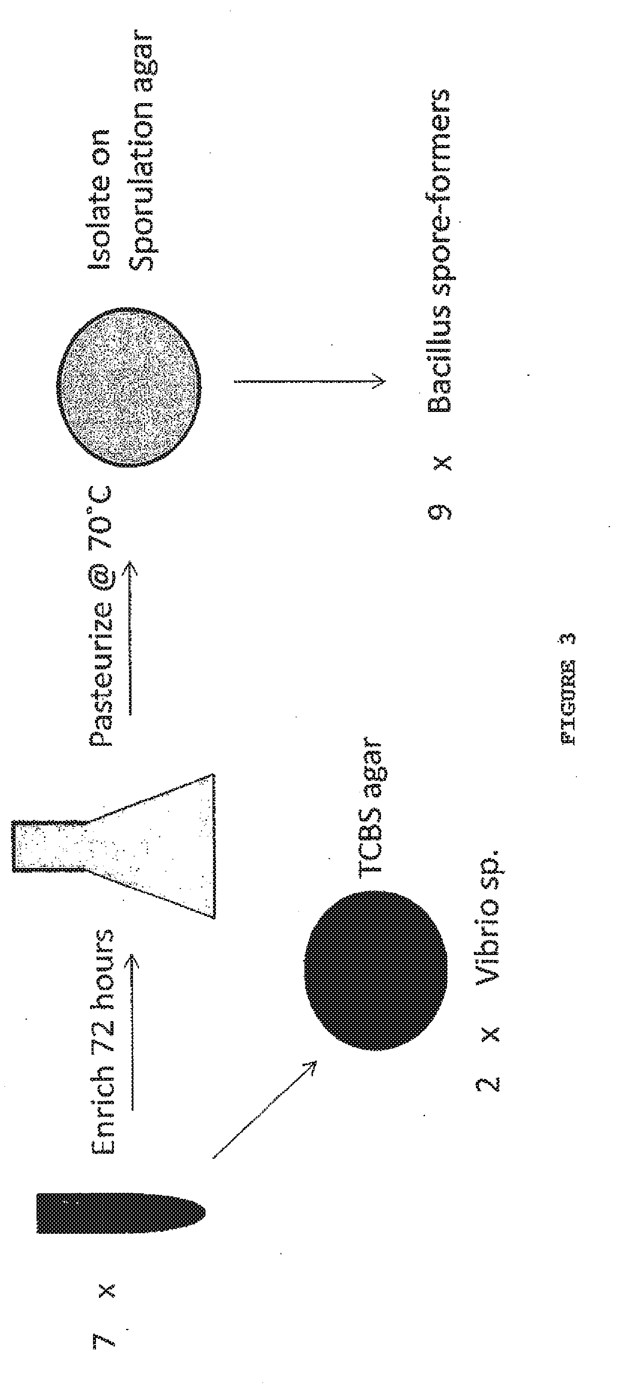 Strains of bacillus for inhibiting foodborne pathogens