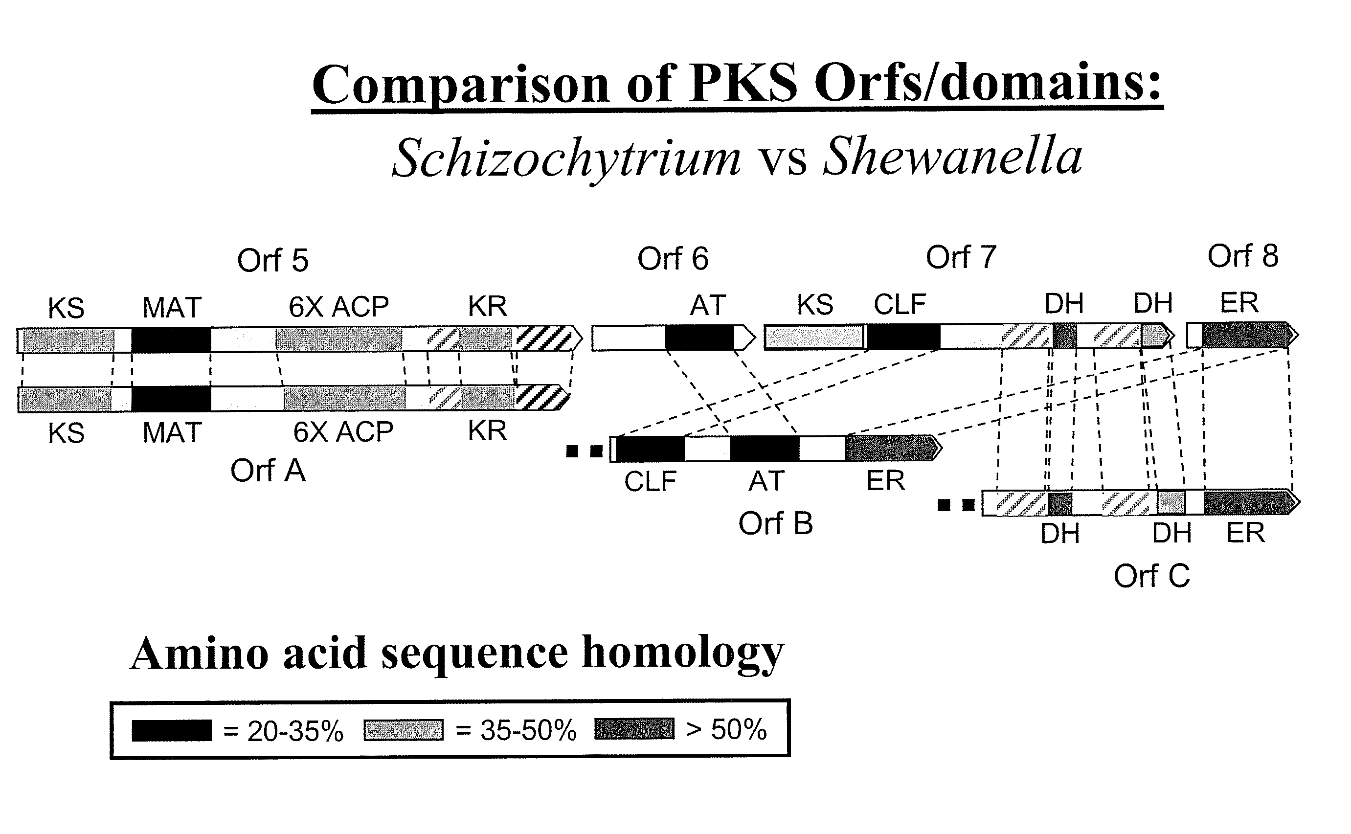 Pufa polyketide synthase systems and uses thereof