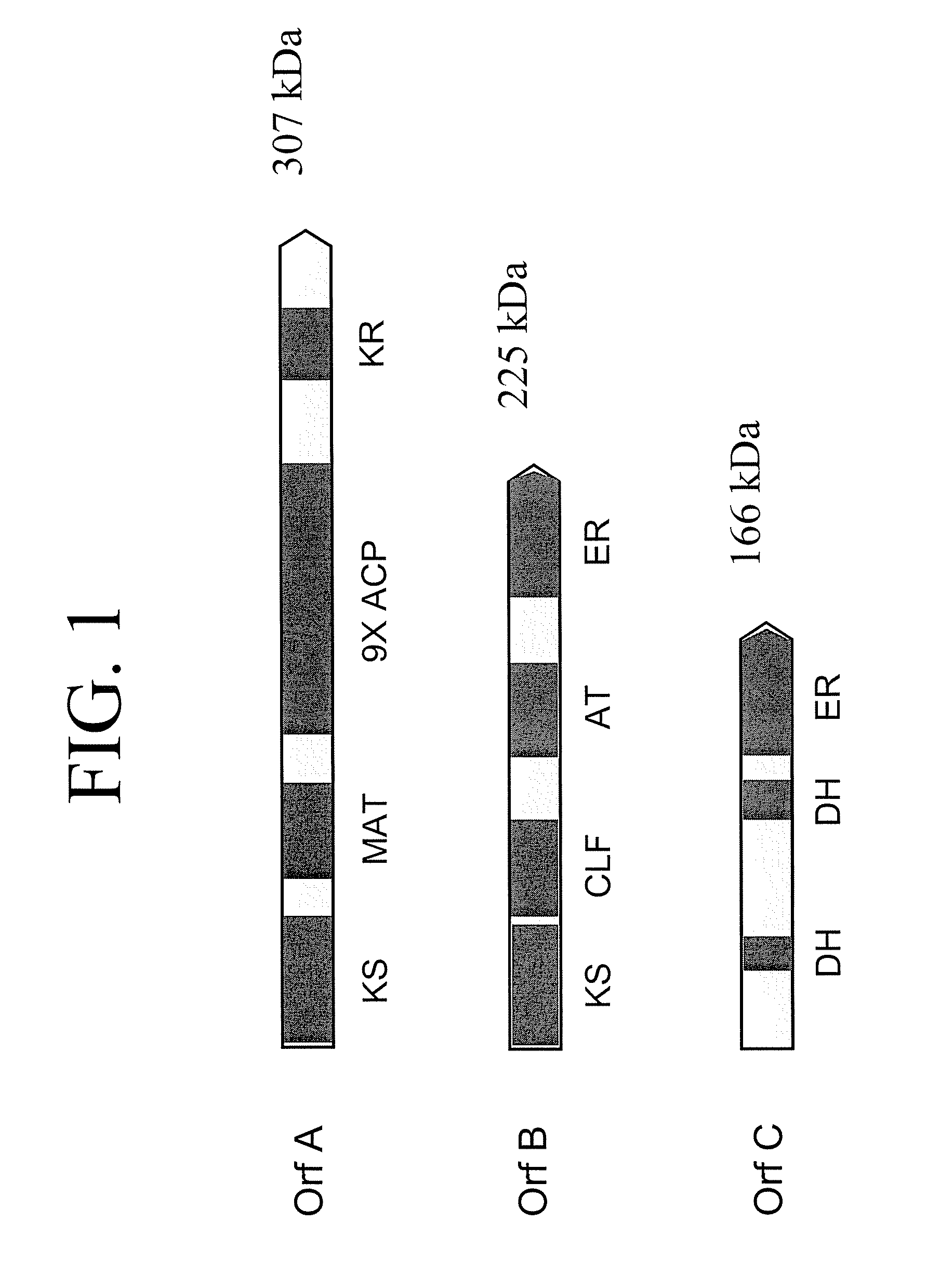 Pufa polyketide synthase systems and uses thereof