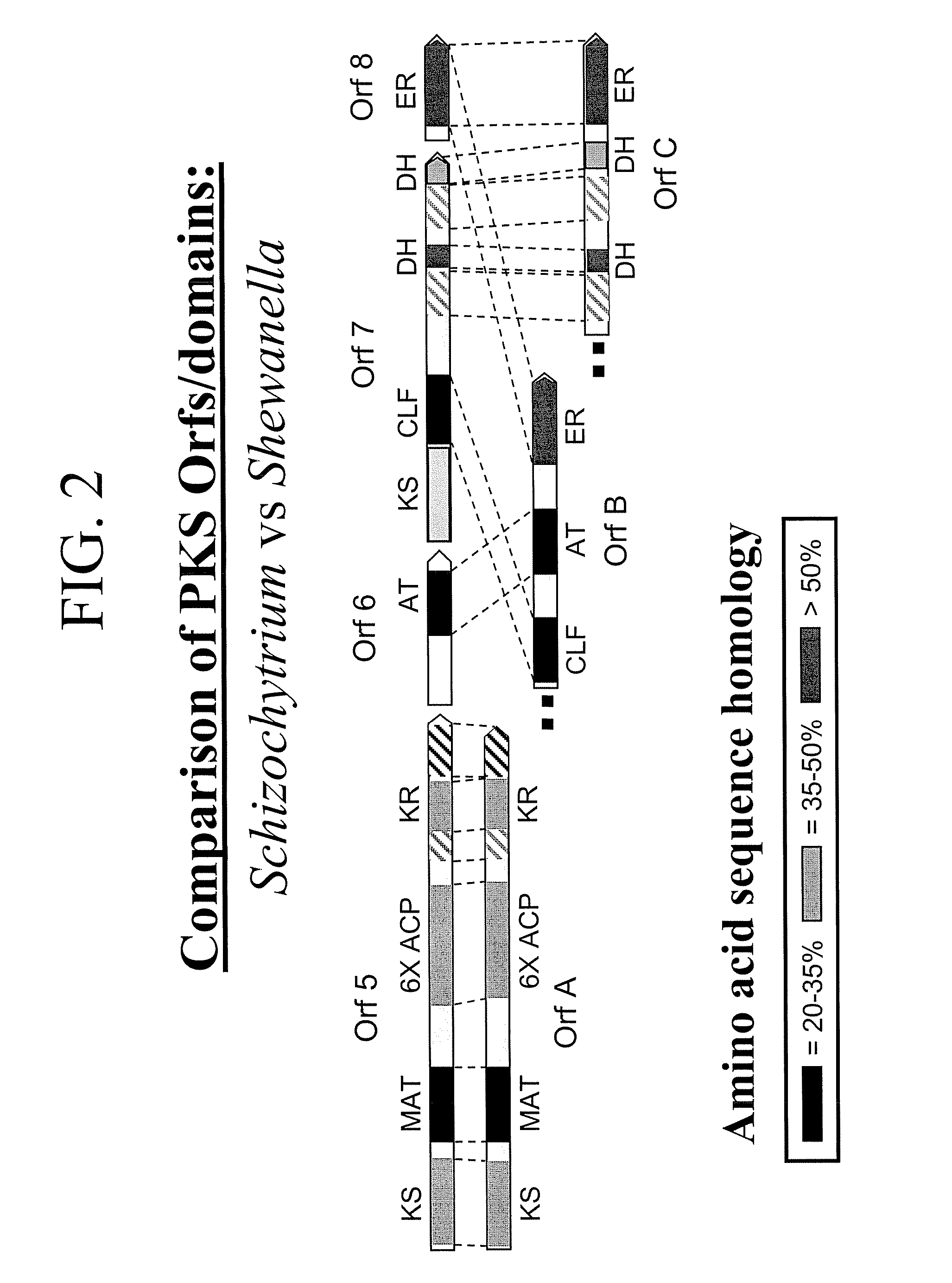 Pufa polyketide synthase systems and uses thereof