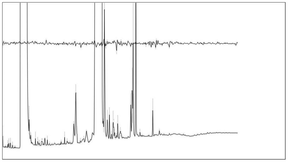 Application of marigold volatile matter beta-cyclohomocitral to prevention and treatment of Chinese wolfberry aphids