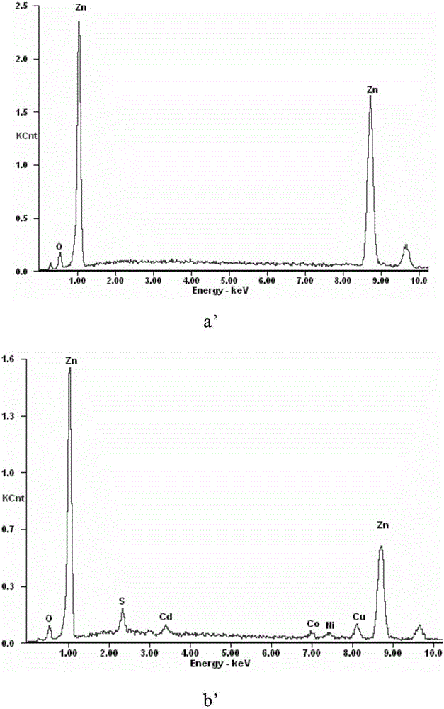 Method for removing copper, cadmium, nickel and cobalt out of zinc sulfate solution through one step