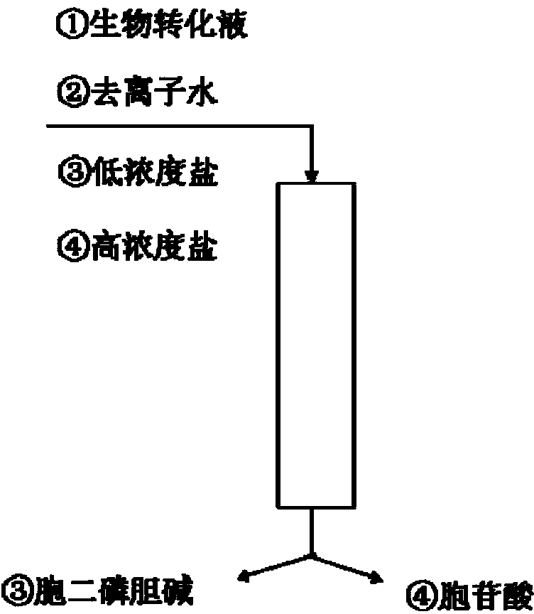 Method for separating and purifying citicoline in issatchenkia orientalis biotransformation liquid