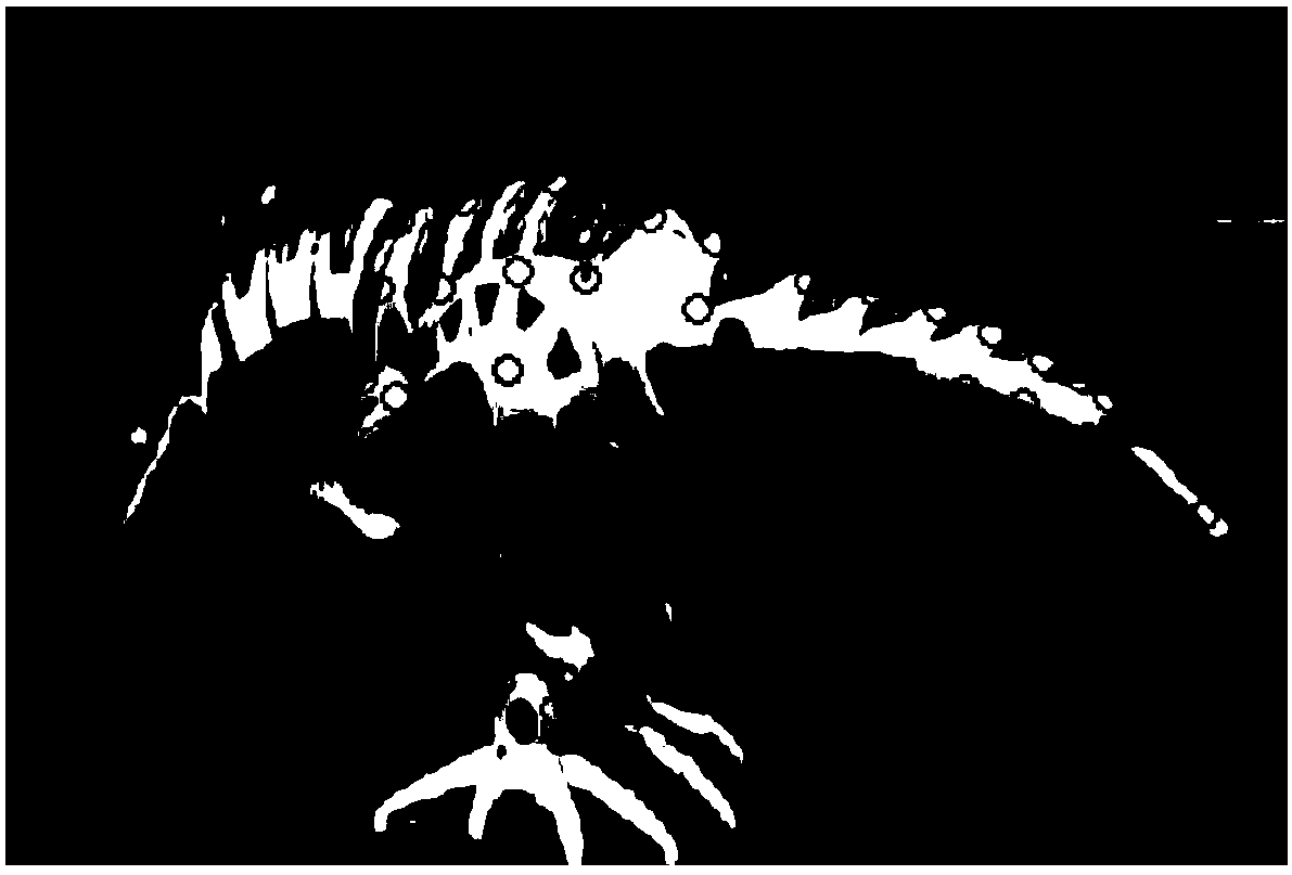 A Restoration Method for Image Missing Values ​​Based on Non-rigid Trajectory Basis