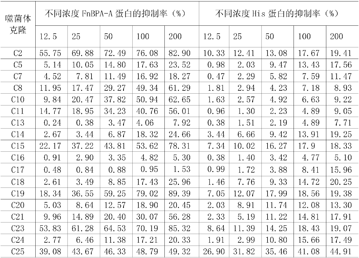 Immunoprotective staphylococcus aureus fnbpa-a protein mimic epitope peptide, mimic epitope peptide composition and application thereof