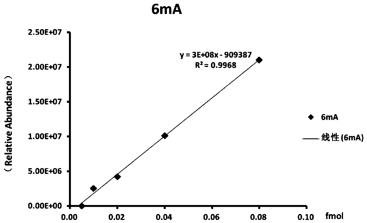 Method for modifying hepatitis B virus with N6-methyladenine in vitro