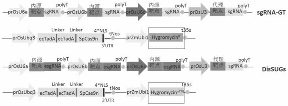 Application of Differential Agent Technology in Cell Enrichment of a·g Base Substitution