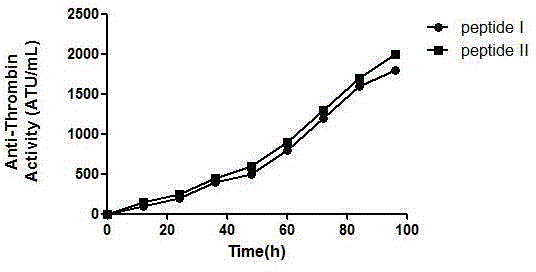 DTI (Direct thrombin inhibitor) peptides and application thereof