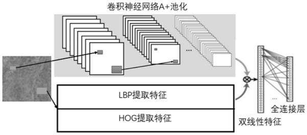 Remote sensing image cultivated land information extraction method based on convolutional neural network