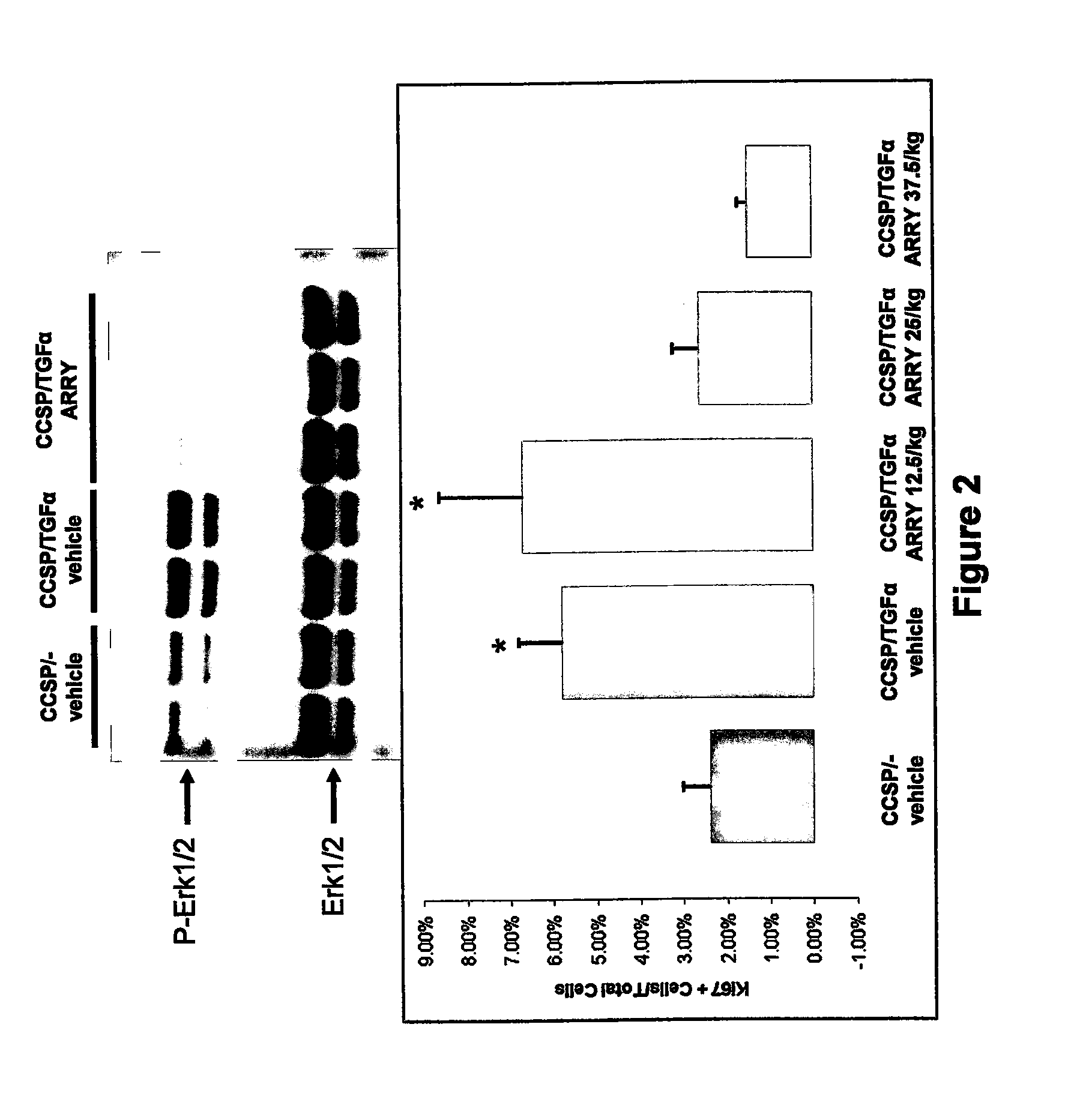 Methods and compositions of mitogen-activated protein kinase (MAPK) pathway inhibitors for treating pulmonary fibrosis