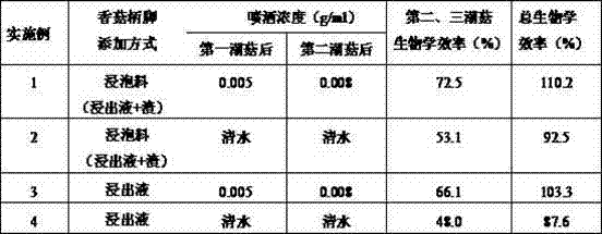 Grifola frondosa cultivation method