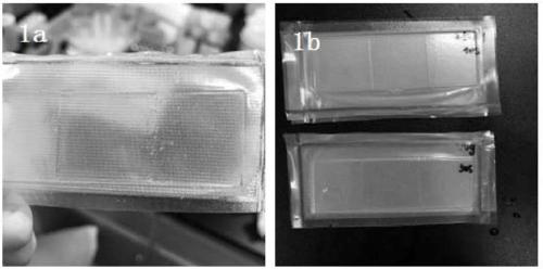 A composite membrane based on gelatin and amino acids and method for culturing limbal stem cells on the membrane