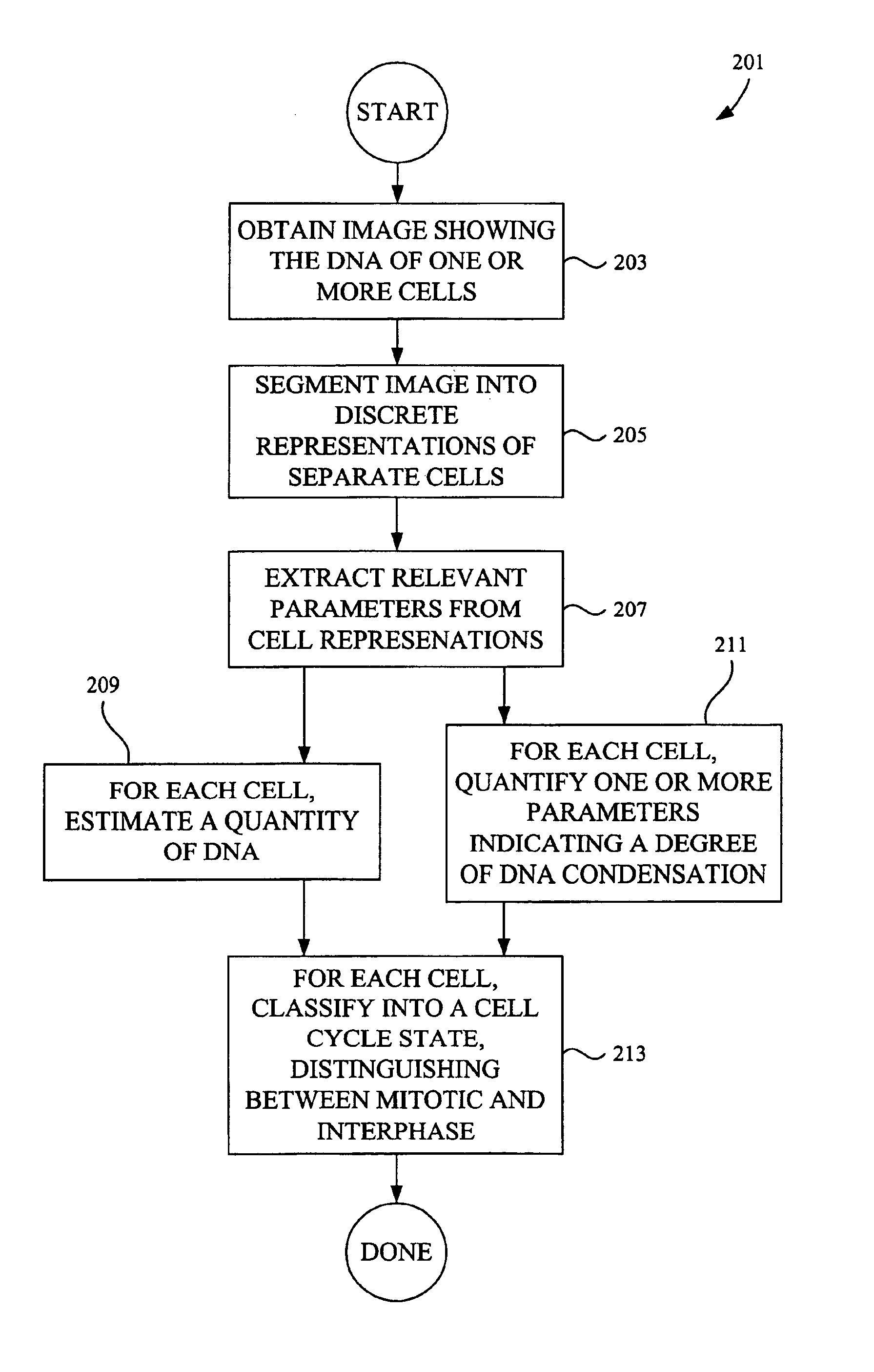 Classifying cells based on information contained in cell images