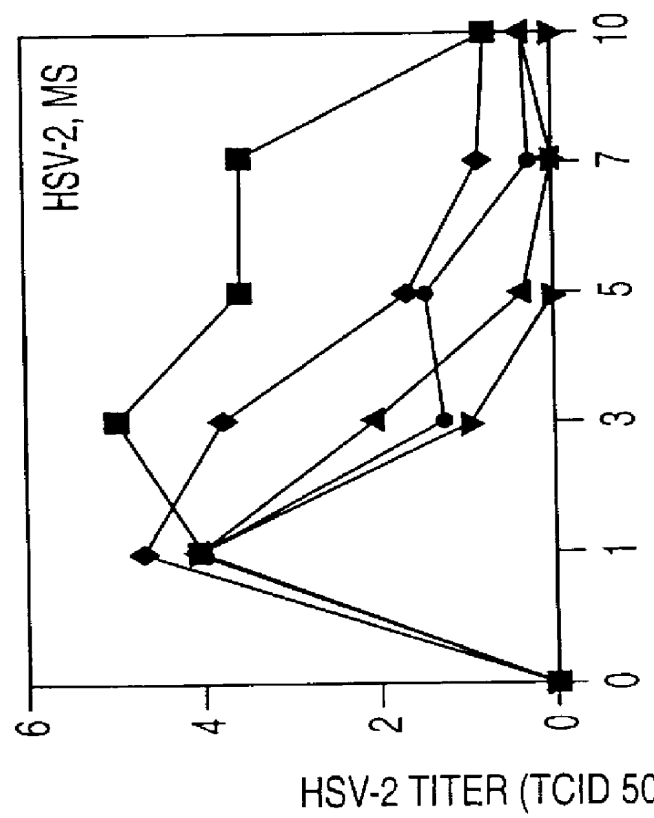 Methods for treatment with compositions effective against acyclovir-resistant strains of herpes viruses