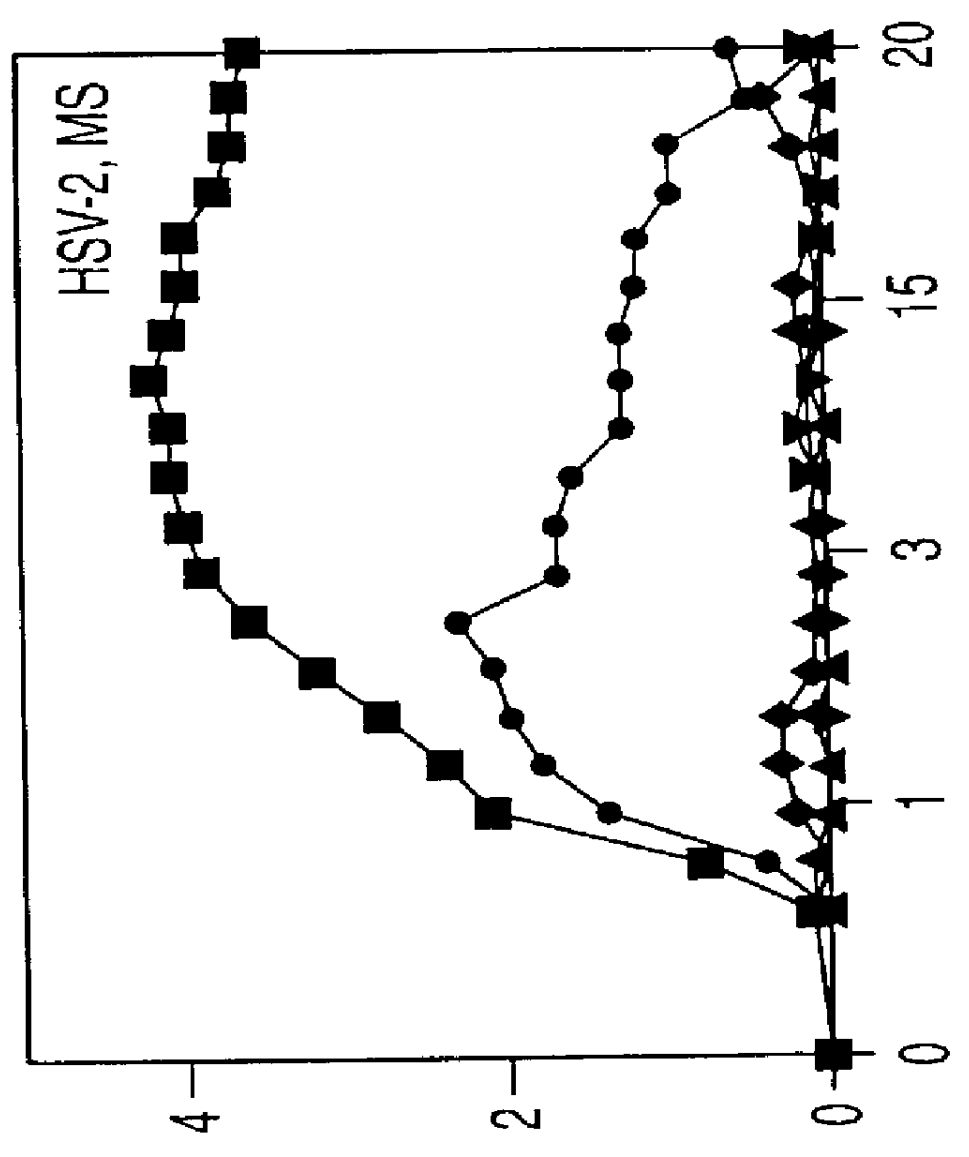 Methods for treatment with compositions effective against acyclovir-resistant strains of herpes viruses