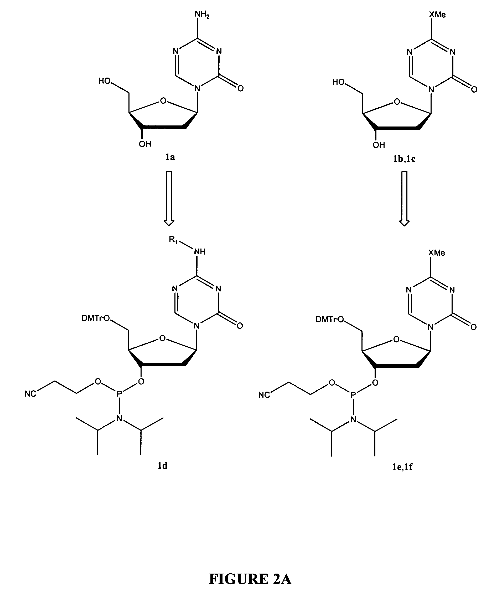 Oligonucleotide analogues incorporating 5-aza-cytosine therein