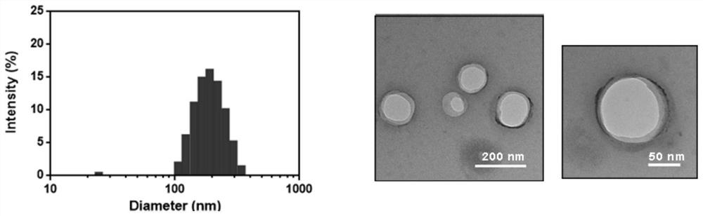 A polymeric chloroquine fluorenylmethylcarbonyl nanogel delivery system and preparation method thereof