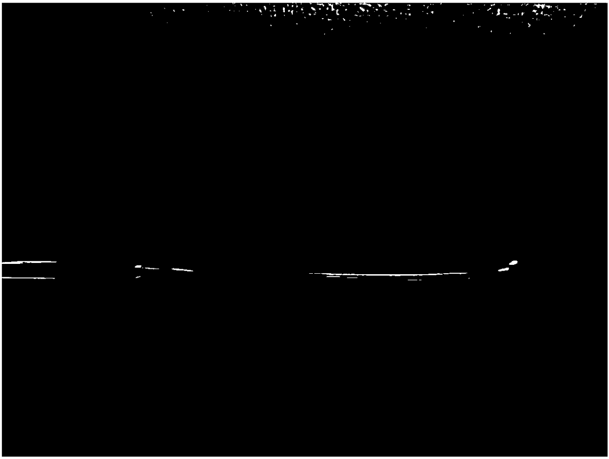 A kind of preparation method of dumbbell-shaped iron-based bulk metallic glass sample