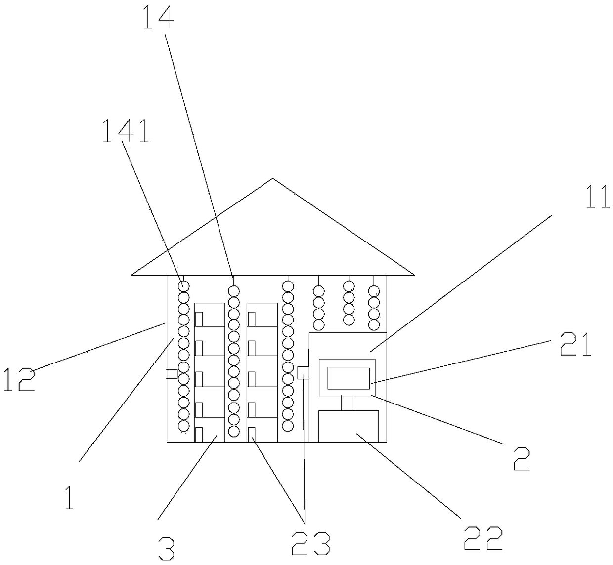 A method for culturing Dendrobium huoshanense tissue culture seedlings using a natural light source tissue culture room