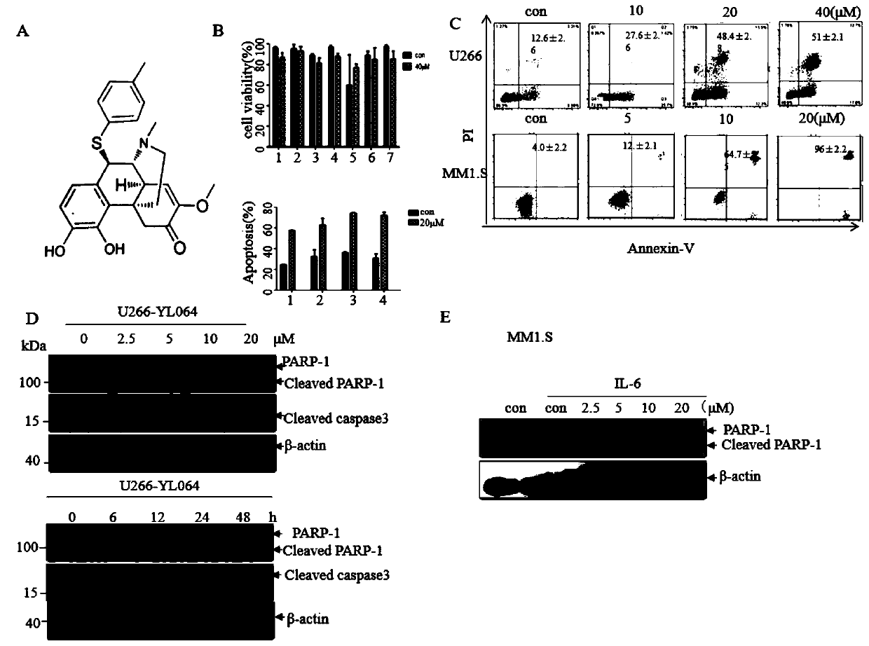 Application of sinomenine derivatives in the preparation of drugs for treating multiple myeloma