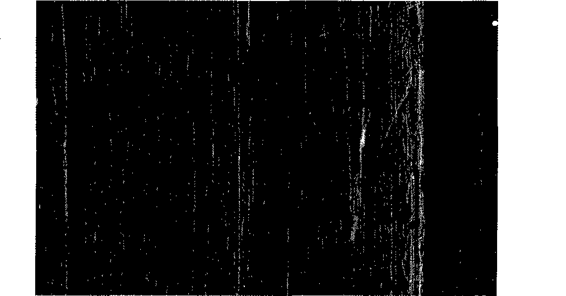 Growth method of carbon nano-tube array