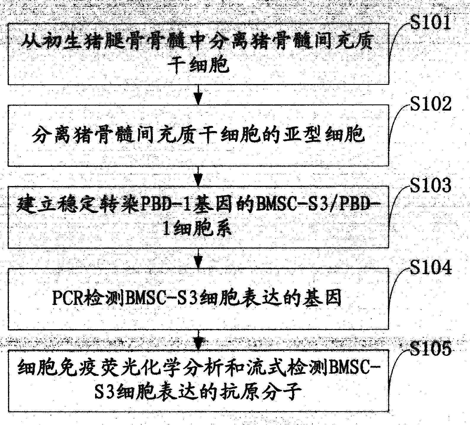 Preparation method for stem cell preparation capable of preventing and treating mycoplasma pneumoniae of swine