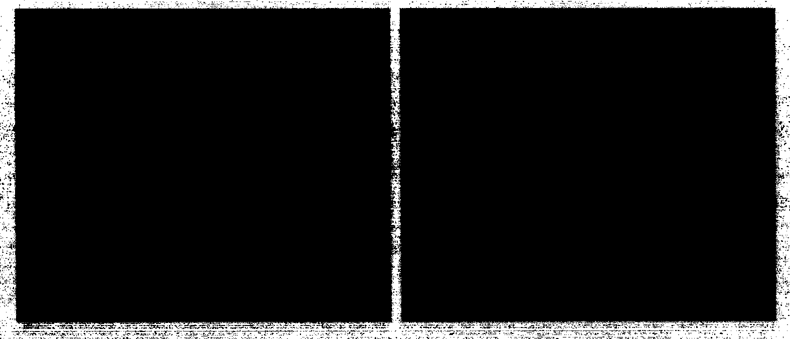 Preparation method for stem cell preparation capable of preventing and treating mycoplasma pneumoniae of swine