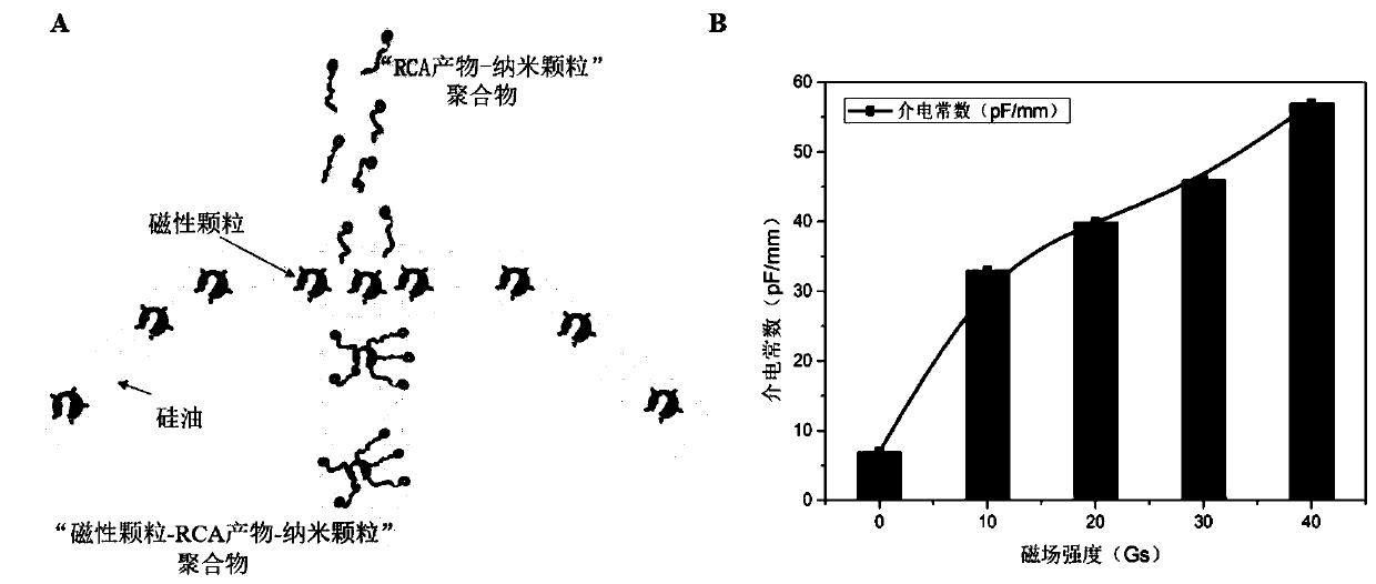 Isothermal amplification terahertz multi-channel microfluidic chip based on magnetorheological fluid technology and its method for pathogen detection