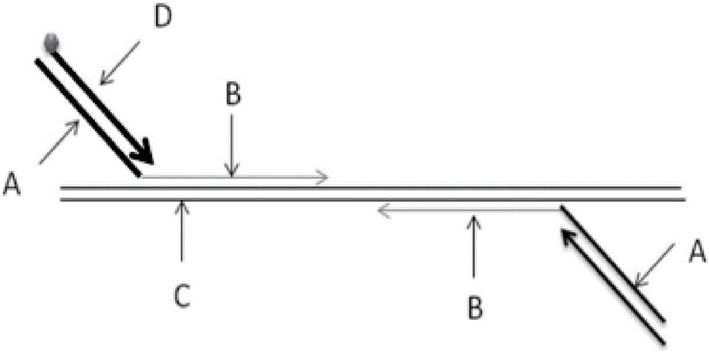 High-risk human papilloma virus kit and detection method