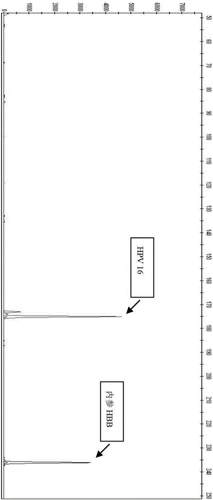 High-risk human papilloma virus kit and detection method