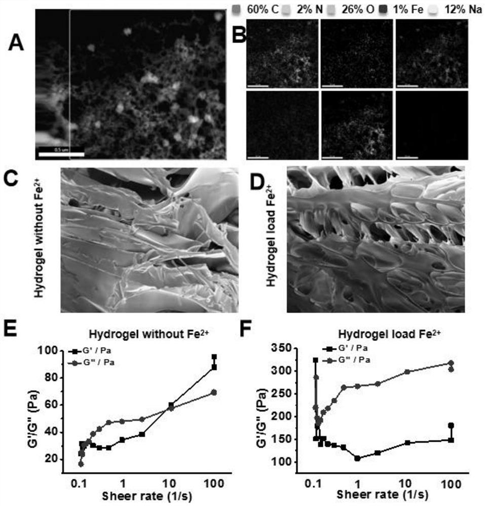 Application of ferrous ions in preparation of product for treating bacterial infection